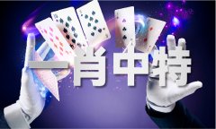 944cc开成果 - 944cc开成果V